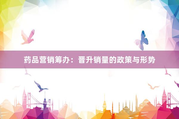 药品营销筹办：晋升销量的政策与形势